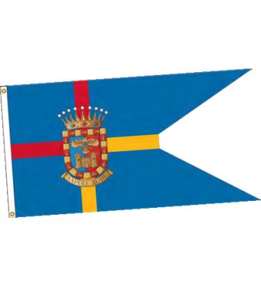 Custom 20"x27.75" Single Face Reverse Guidon/Burgees with Heading & Grommets 