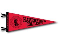 Custom 4"x10" Felt Pennants
