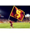 10'x12' Light-Weight School Spirit Flag