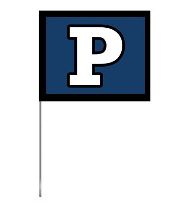 5'x6' Light-Weight School Spirit Flags - Double Face