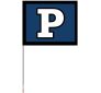5'x6' Light-Weight School Spirit Flags - Double Face
