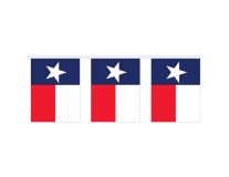 30' Mini Texas Flag Pennants