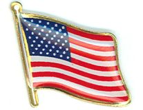 USA Wave Lapel Pin