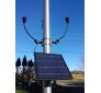 Bullhorn CREE-Powered Commercial Flagpole Solar Light
