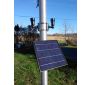 Bullhorn CREE-Powered Commercial Flagpole Fixed Solar Light