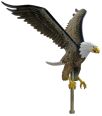 Aluminum Flying Eagle - Natural - 15" Wingspan
