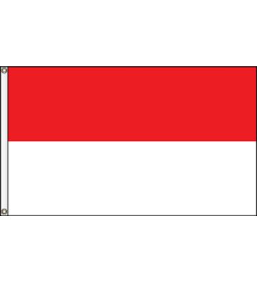 Your Choice 2-Stripe Attention Flags