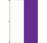 10'x3' 2-Stripe Vertical Attention Flags