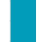 10'x3' Solid Color Vertical Attention Flags
