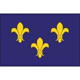 3'x5' Fleur-De-Lis (Blue-3) Nylon Outdoor Flags