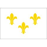 3'x5' Fleur-De-Lis (White-3) Nylon Outdoor Flags
