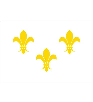 3'x5' Fleur-De-Lis (White-3) Nylon Outdoor Flags