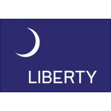 3'x5' Fort Moultrie Nylon Outdoor Flags