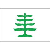 3'x5' Pine Tree Nylon Outdoor Flags