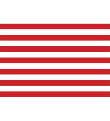3'x5' Sons of Liberty Nylon Outdoor Flags