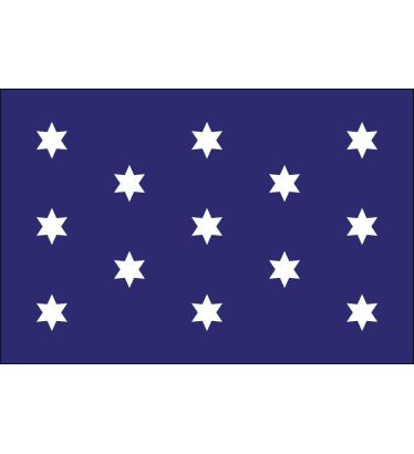 3'x5' Washington's Commander-In-Chief Nylon Outdoor Flags
