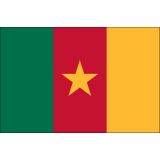 Cameroon Flags