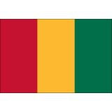 Guinea Flags