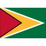 Guyana Flags
