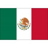 4" x 6" Hand-held Mini Mexico Flags - No Tip