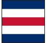 Charlie Flag - Yes - Individual Flag with Ash Toggles