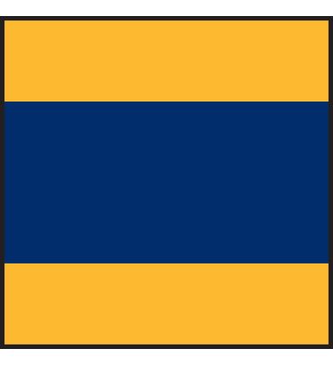 Delta Flag - Keep Clear - Individual Flag with Ash Toggles