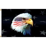 3'x5' Patriotic Eagle Nylon Flag