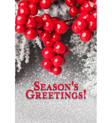 3'x5' Season's Greetings Nylon Flag