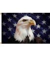 3'x5' Star Field Eagle Nylon Flag