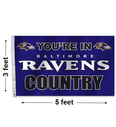 3'x5' Baltimore Ravens Country Outdoor Flag