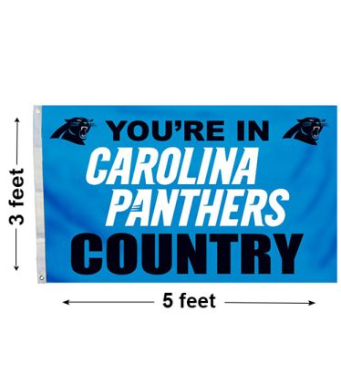3'x5' Carolina Panthers Country Outdoor Flag