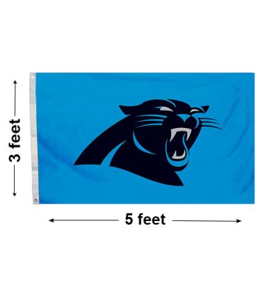 3'x5' Carolina Panthers Football Flag
